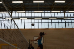 AuswahlTL_2017-502