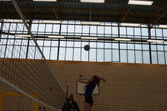AuswahlTL_2017-506