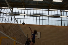 AuswahlTL_2017-507