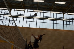 AuswahlTL_2017-514