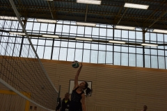 AuswahlTL_2017-515