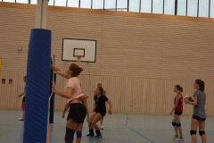 AuswahlTL_2017-572