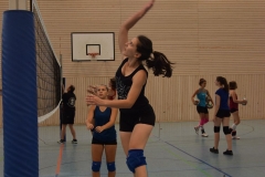 AuswahlTL_2017-573
