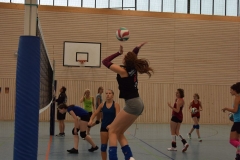 AuswahlTL_2017-575