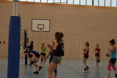 AuswahlTL_2017-576