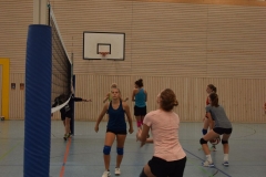 AuswahlTL_2017-577