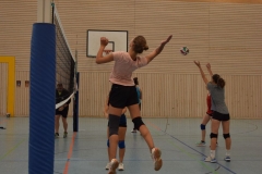 AuswahlTL_2017-579