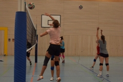 AuswahlTL_2017-580