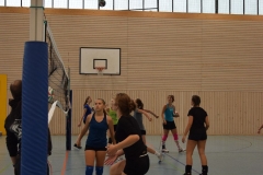 AuswahlTL_2017-585