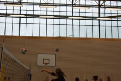 AuswahlTL_2017-596