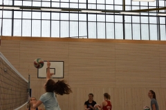 AuswahlTL_2017-605