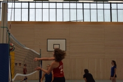 AuswahlTL_2017-607