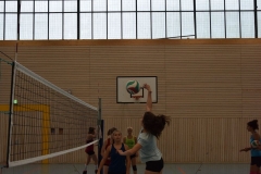AuswahlTL_2017-608