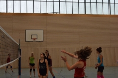 AuswahlTL_2017-612
