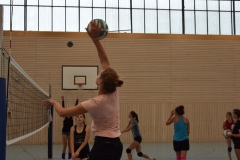 AuswahlTL_2017-613