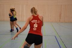 AuswahlTL_2017-673