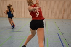 AuswahlTL_2017-674