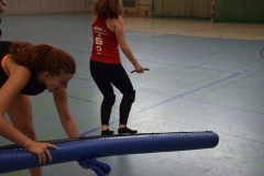 AuswahlTL_2017-676