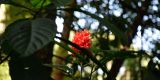 Bali_2023_web_011