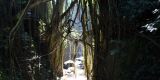 Bali_2023_web_025