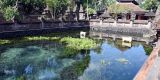 Bali_2023_web_122