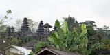 Bali_2023_web_167