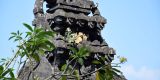 Bali_2023_web_208