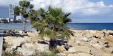 Cyprus-2025_014