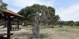 Cyprus-2025_022