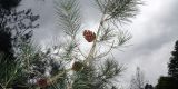 Cyprus-2025_058