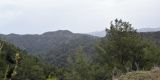 Cyprus-2025_062