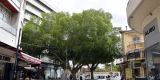 Cyprus-2025_093