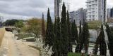 Cyprus-2025_094