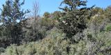 Cyprus-2025_097