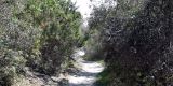 Cyprus-2025_099