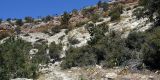Cyprus-2025_100