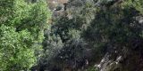 Cyprus-2025_102