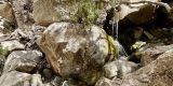 Cyprus-2025_110