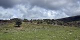Cyprus-2025_116