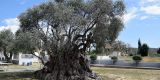 Cyprus-2025_122