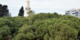 Cyprus-2025_145