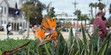 Cyprus-2025_153