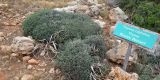 Cyprus-2025_172