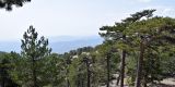 Cyprus-2025_188