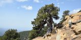 Cyprus-2025_189