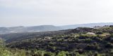 Cyprus-2025_193
