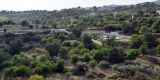 Cyprus-2025_194