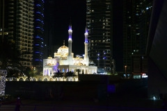 UAE2019_57
