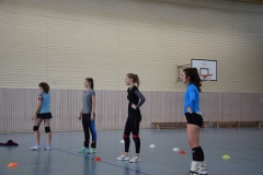 VSVDa2-2019-03-09_001