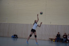 VSVDa2-2019-03-09_022